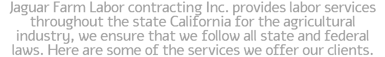 Jaguar Farm Labor contracting Inc. provides labor services throughout the state California for the agricultural industry, we ensure that we follow all state and federal laws. Here are some of the services we offer our clients. 